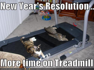 funny-pictures-resolution-cats-treadmill