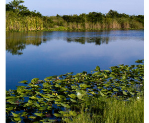 Funny Quotes Contact Us DMCA Notice