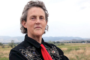 Temple Grandin on DSM-5: “Sounds like diagnosis by committee”