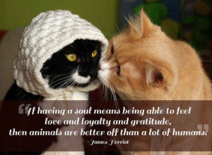 21 Quotes That Will Make You Want To Hug Your Pet - BuzzFeed Mobile