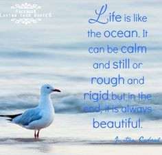 Ocean Quotes About Love Life is like an ocean quote