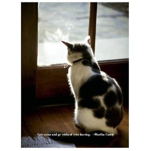 Cat Quote Sympathy Card