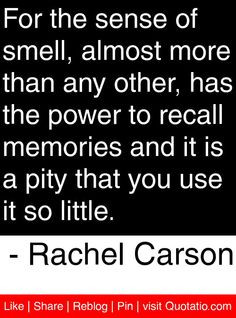 ... pity that you use it so little. - Rachel Carson #quotes #quotations