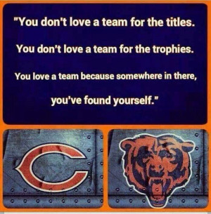 it would be nice to see the Bears end their season with some dignity ...