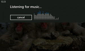 Search - a powerful tool on your Nokia Lumia