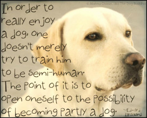 Dog quotes funny