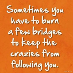 Sometimes You Have To Burn A Few Bridges.