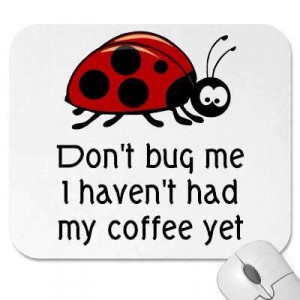Don't bug me