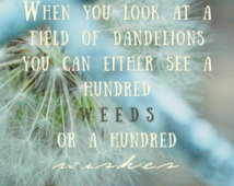 Field Of Dandelions Quote Photograp hy Gallery Wrap Canvas 9.5x7 ...