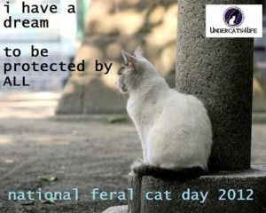 National Feral Cat Day - October 16 ... It's Actually National Boss ...