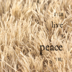 Cool Nature Photography With Quotes Inspirational quote