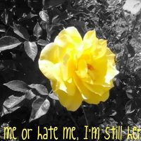 hate me quotes photo: Love me or hate me... YellowRose.jpg