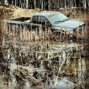 Mudding the most #cummins #dodge #ram #mudding #diesel #truck