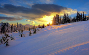 Amanecer en el bosque nevado - Beautiful Sunrise