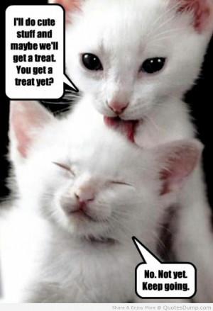 Found on quotesdump.com