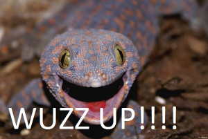 Funny Lizard by TheAnimefreak69