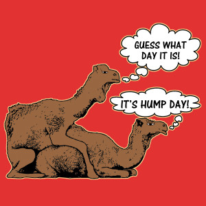IT'S HUMP DAY!