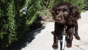 Funny Quotes Contact Dmca...