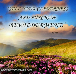 Pinned by Kelly Chaplin