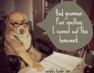 ... , Poor Spelling, Dogs Humor, Funny Stuff, Bad Grammar, So Funny
