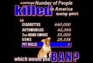 Famous Pit Bull Quotes http://hawaiidermatology.com/pitbull/pitbull ...