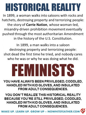 By Anti Feminist | Published: January 7, 2014