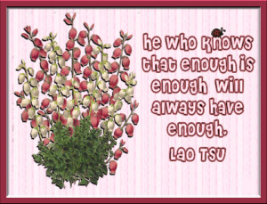 Enough Quotes|Enough Is Enough Quotes|Quote