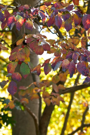 Joe Eck & Wayne Winterrowd in Living Seasonally: The Kitchen Garden ...