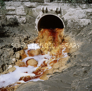 quotes on water pollution