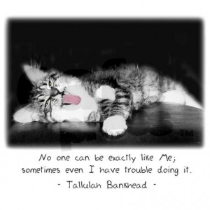 conceited_catandquote_tile_coaster.jpg?height=460&width=460 ...