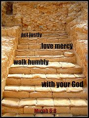 Steps in Israel, scripture from the Holy Bible #truth More