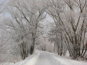 Road In Winter by Josef Petrek
