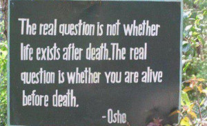 Quote-on-the-existence-of-life-after-death-and-by-Osho-540x330.jpg