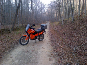 Thread: Pictures for No Reason