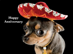 Mexican Chihuahua