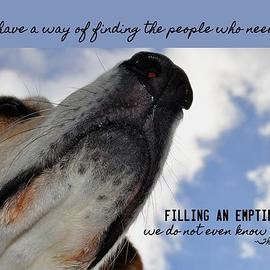 Quote About All Dogs Go To Heaven