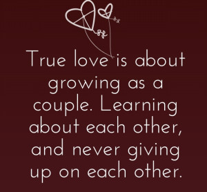 15 Never Give Up on Love Quotes and Sayings