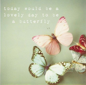 lovely day to be a butterfly quote