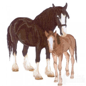 Horse Cute Embroidery Designs