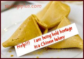 More Fortune Cookie Sayings Messages Quotes And Fortunes