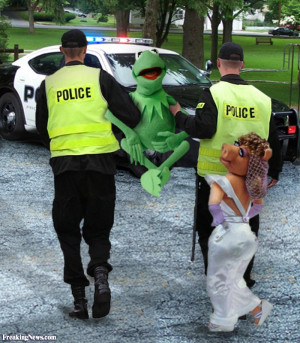 Funny Kermit the Frog Arrested