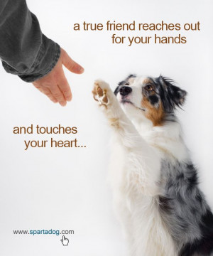 True friend #spartadog #dogs #quotes