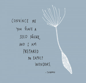 quotes thoreau nature quotes thoreau nature quotes thoreau henry david ...