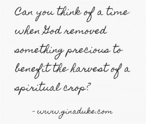 Has God ever removed something precious from you in order to benefit ...