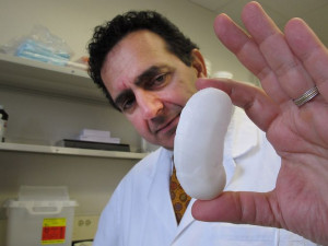Dr. Anthony Atala holds the framework for a human kidney created by a ...