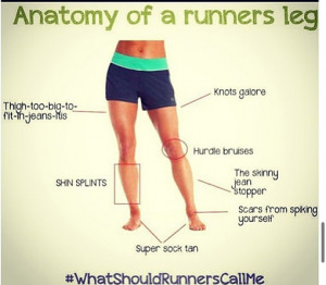 Running Jokes:Anatomy of a Runner's Leg