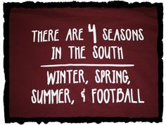There Are 4 Seasons In The South Winter, Spring, Summer, And Football ...