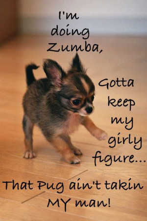 Zumba Funny Quotes