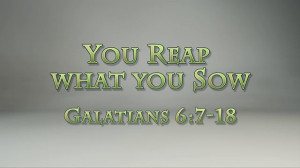 Reap What You Sow Meaning