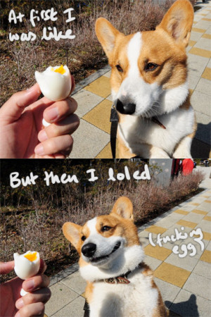 Snoop Dogg makes the best brownies